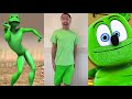 Craziest sagawa1gou funny tiktok compilation  try not to laugh watching cactus dance challenge 2024