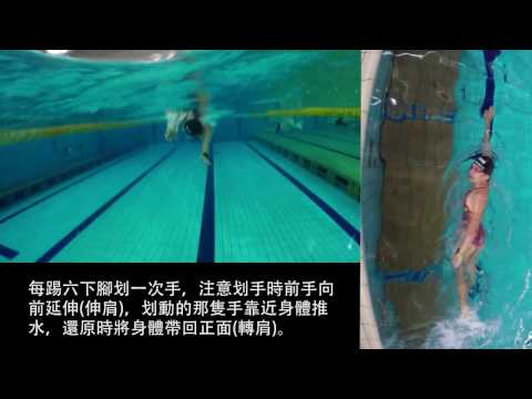 基本動作示範－單臂划手1