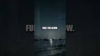 The Night Ocean Lights The Secret Glow of Bioluminescent Bays