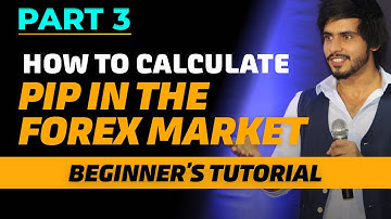 How To calculate Pip In The Forex Market || For Beginners - Part 3 || Step By Step guide