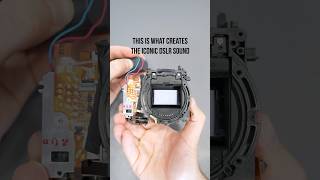 Have You Ever Seen the Heart of a DSLR?