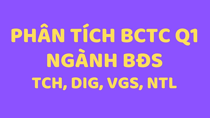 Báo cáo tài chính thuế vat là gì năm 2024