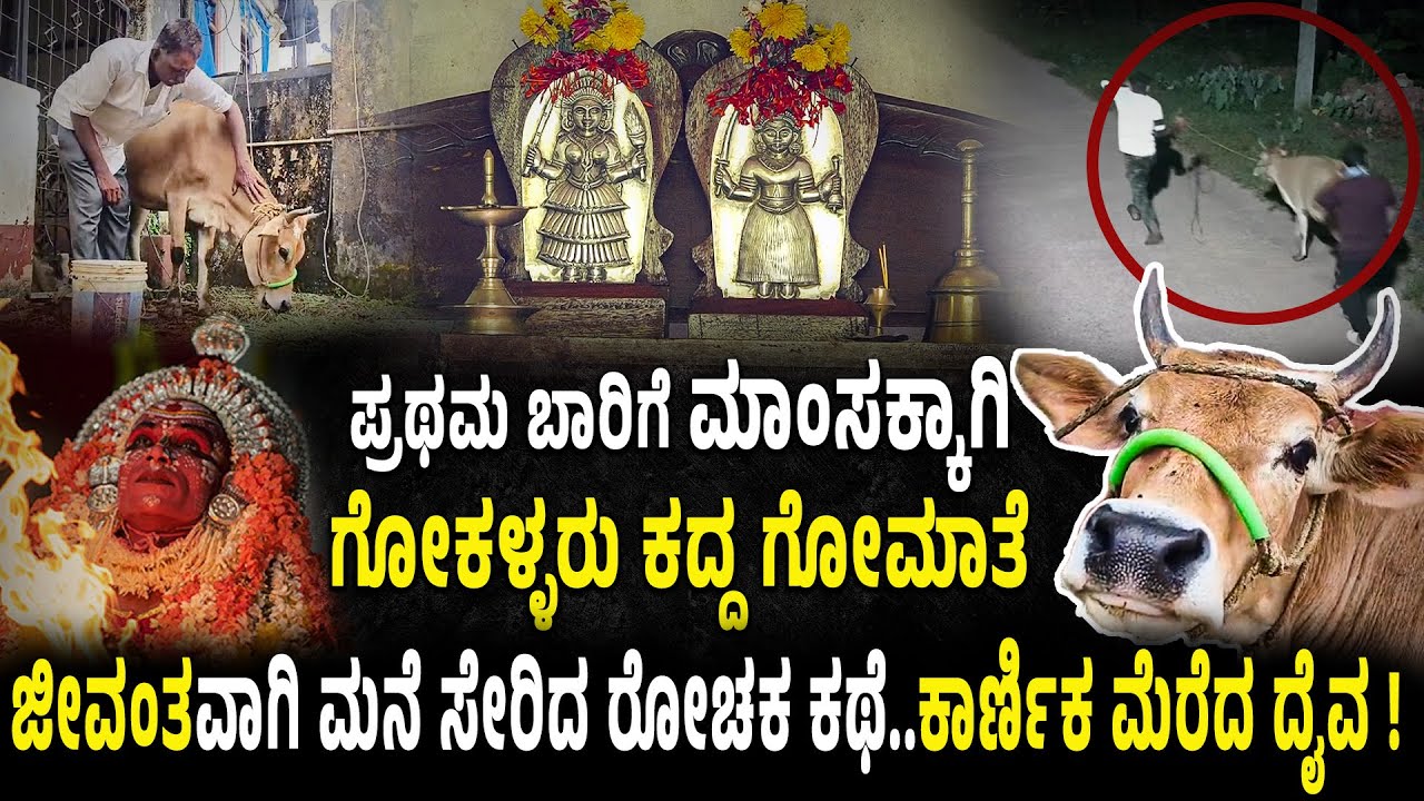 Бог Карники... воры украли корову на мясо, корова вернулась живой в дом в Ажваре. Захватывающее п...