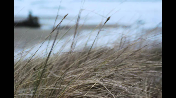 Colleen Rogers: My Love for the Beach