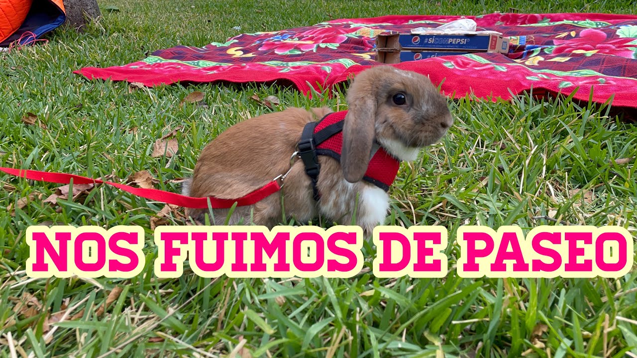 NOS CORRIERON DEL PARQUE