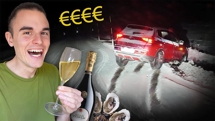 DISASTRI, OSTRICHE e CHAMPAGNE! 💥🦪 🍾