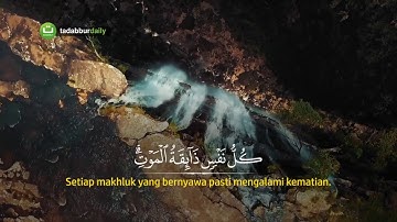 سورة الأنبياء _تلاوة رائعة مريحة للنفس _ القارئ ياسر الدوسري_القرآن الكريم 💞