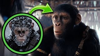 Is Noa Related To Caesar In Kingdom Of The Planet Of The Apes? Explained...