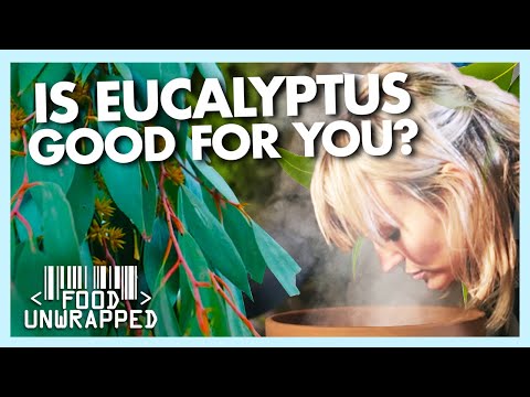 Video: Eucalyptus-M - Instructions For Use, Price, Lozenges