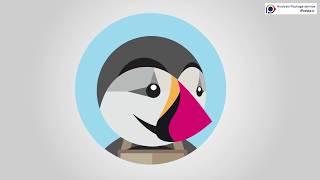 iPresta, PrestaShop Analysis Package intro video English