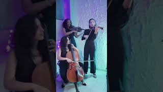 Hire String Trio 8002005 - 1 | Rising Stars Talents