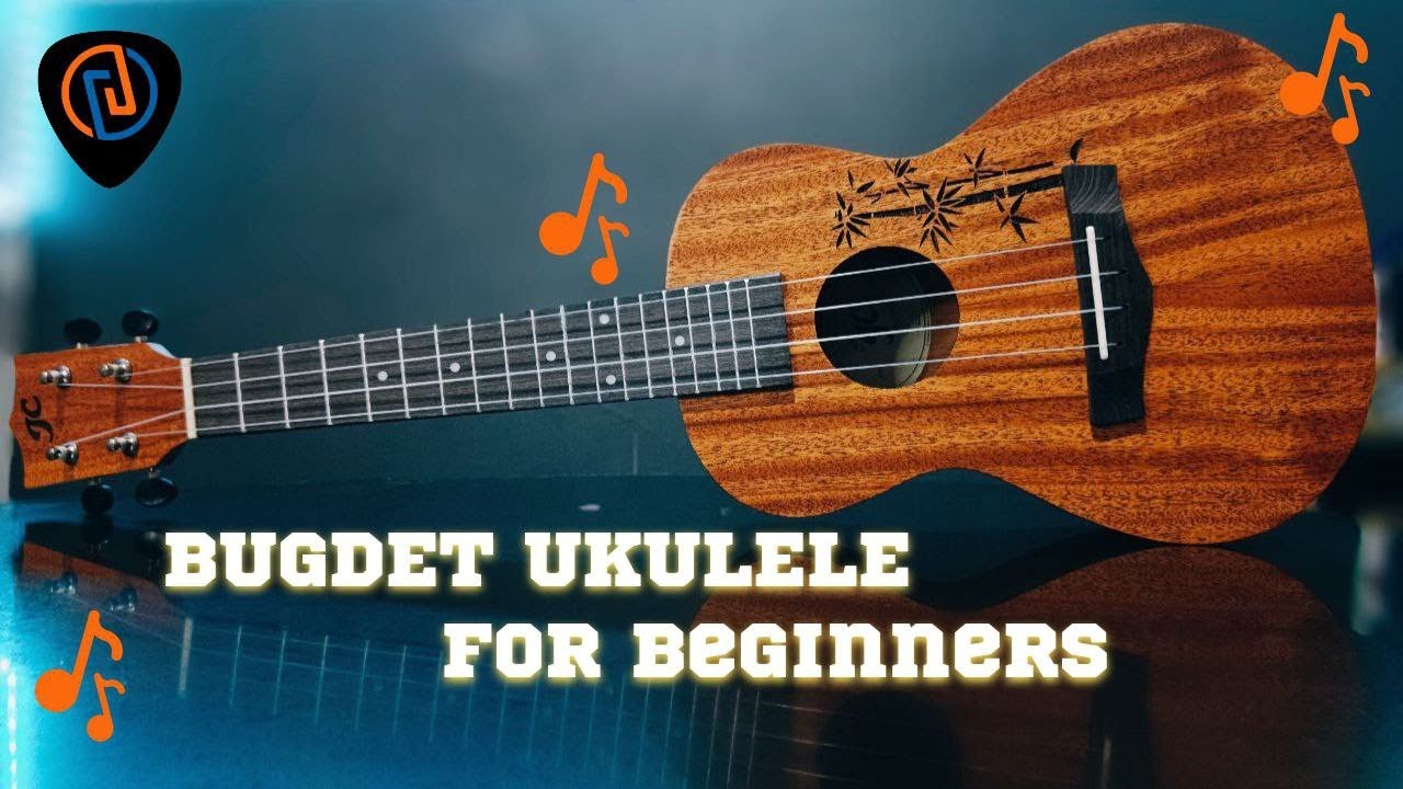 BUDGET UKULELE FOR BEGINNERS YouTube