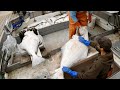 Weighing and Offloading the Catch - Halibut Longline Start to Finish