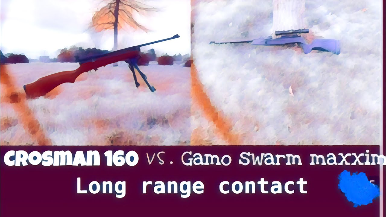 Gamo swarm maxxim vs. crosman 160