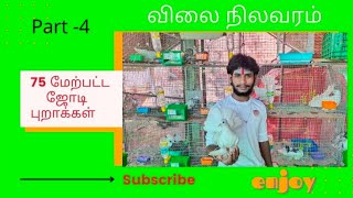 //Part 43//Indian Fantail fancy Pigeon farm visit/Indian Fantail pigeon price in tamilnadu/Fantails