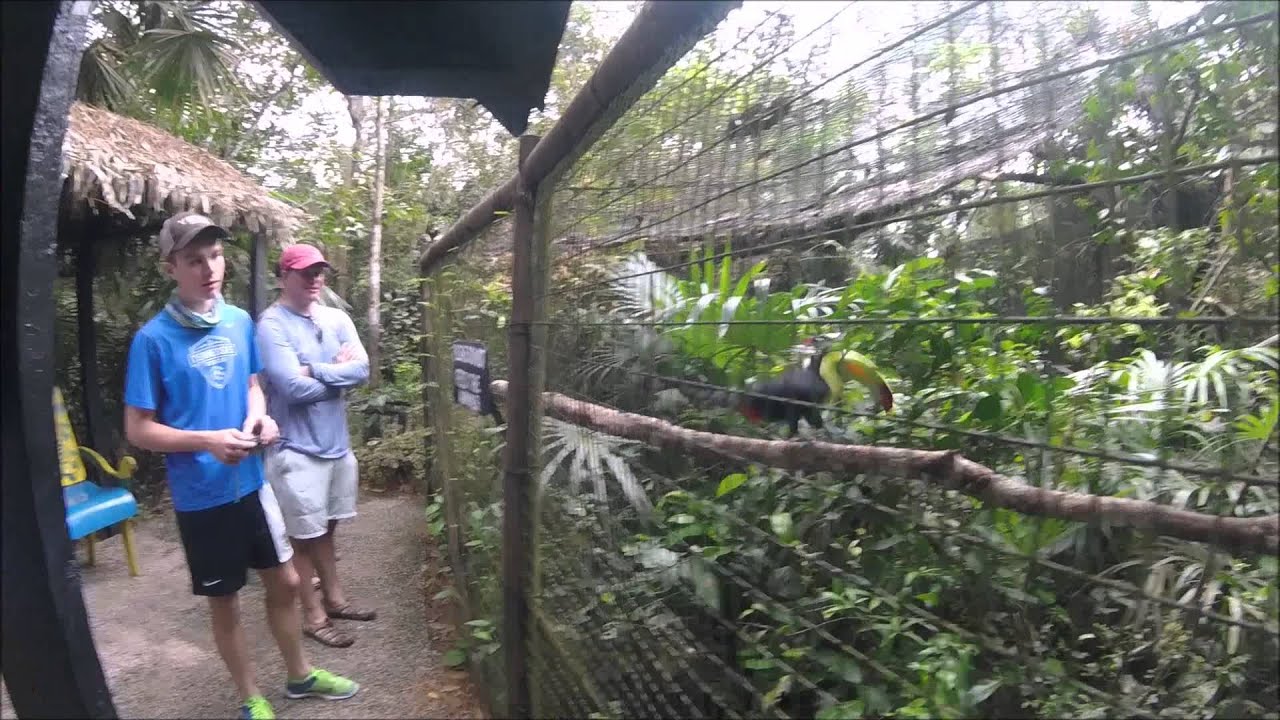 Belize Zoo 2016 - YouTube