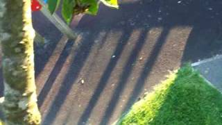 Wallflip Fail!