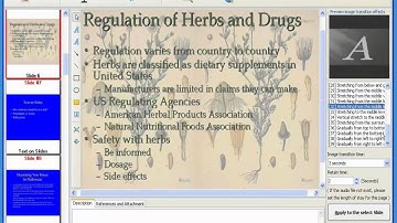 Flash PowerPoint video demo