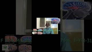 The Brain's Grand Tour: Self, Memory, and the Symphony of Thought