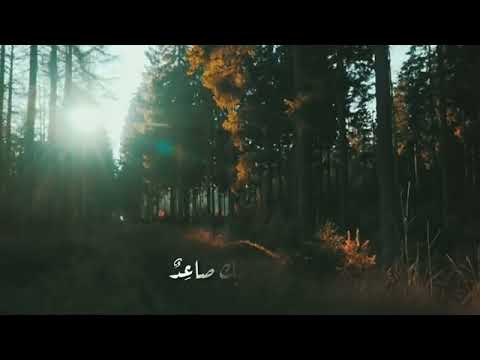 تتحبب إلينا بالنعم ونعارضك بالذنوب مصطفى الموسوي