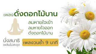 ลมหายใจเข้า ลมหายใจออก ดั่งดอกไม้บาน วนซ้ำ 9 นาที