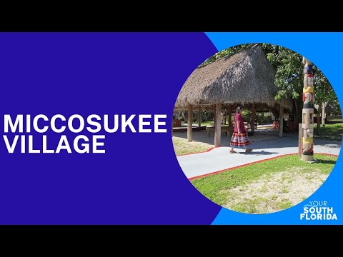 Wideo: Miccosukee Indian Village: Kompletny przewodnik