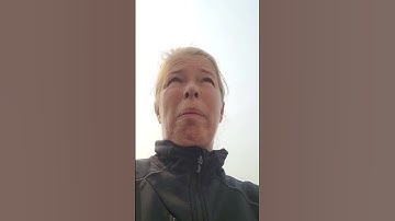 Wasp Nest Removal DIY Dish Soap and Water Spritzer !