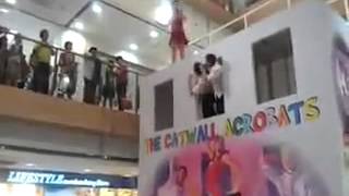 THE CATWALL ACROBATS