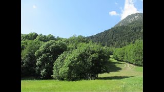 Skilift Piemonte Funivie Monte Midia - Acceglio Cn - Impianto Dismesso