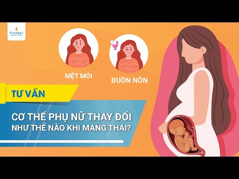 Video: Sự thay đổi trạng thái diễn ra như thế nào?