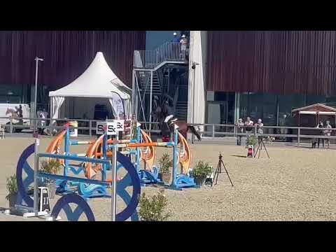 Pepper van de Bucxtale 145 LR CSI4**** Opglabbeek