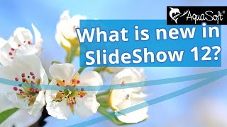 What is new in SlideShow 12? 👀💙 Wealth