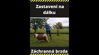 Zastavení na dálku aneb záchranná brzda