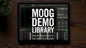 Animoog Z | Introduction & New Features