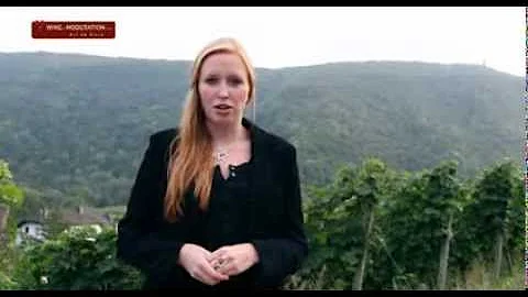 Julia Bertram - German Wine Queen 2012-2013
