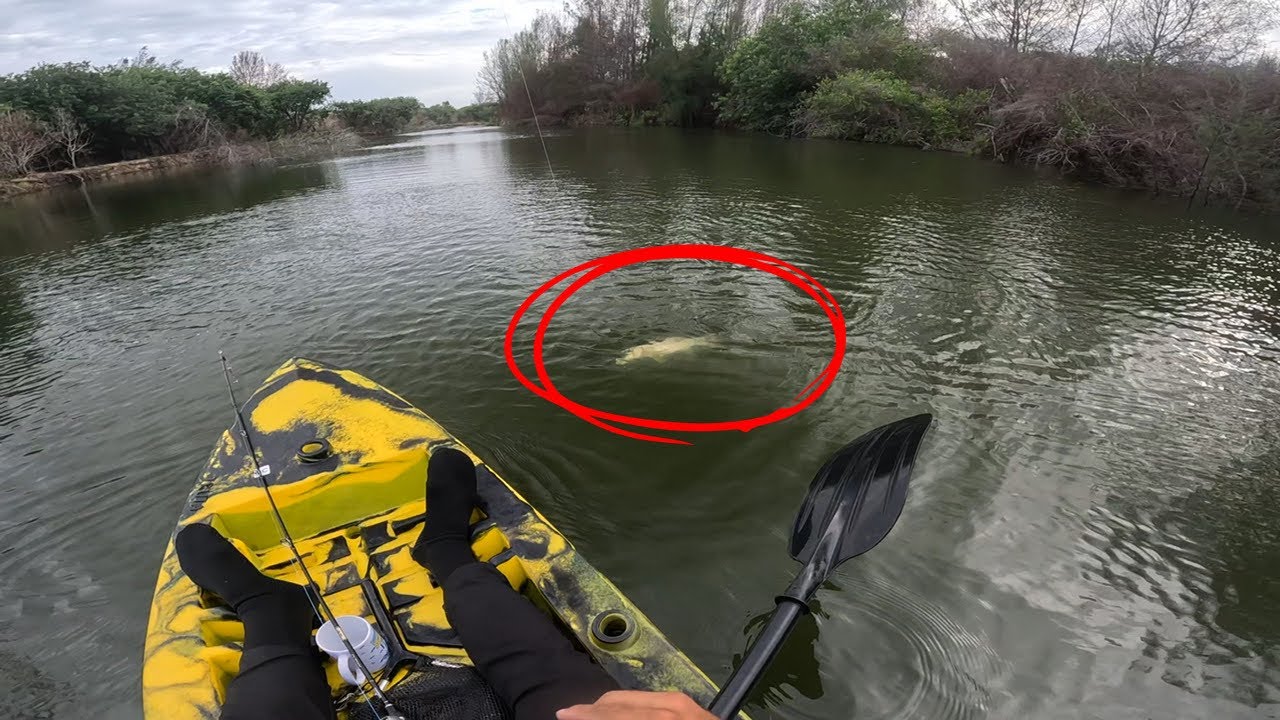 Troquei a isca por curiosidade… e quase não dei conta dos brutos 🔥😱
