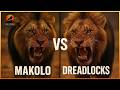 Makulu Vs Dreadlocks When Calm Clashed With Rage And Nature Held Its Breath Makulu Vs Dreadlocks When Calm Clashed With Rage And Nature Held Its Breath