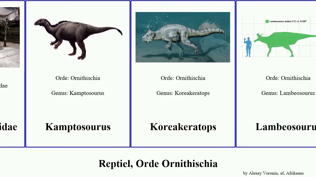 Reptiel, Orde Ornithischia reptilia Kamptosourus Ankilosourus Cattle Telecasted Plateosourus