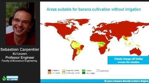 More crop per drop - screening for drought tolerance