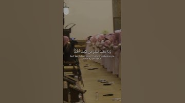 تلاوة خاشعة نادرة الشيخ محمد اللحيدان ﴿ وَهُوَ الَّذِي خَلَقَ اللَّيْلَ والنهار والشمس والقمر كل ﴾