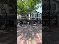 Ode to Joy Beethoven - Canada Street Vermont Trio - USA