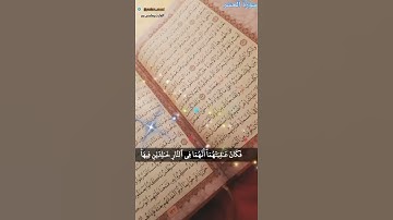 @القارئ يسلم بن وبر الحضرمي