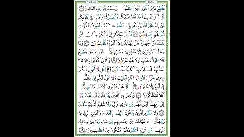 سورة الأنعام الصفحة 133