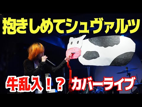 ゴールデンボンバー / 抱きしめてシュヴァルツ　Cover Live