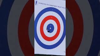 FX Wildcat MK3 - how accurate are you then? #airrifles