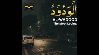 AL-WADOOD | The Most Loving |  99Names | Islamic video | HD Video