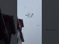 Masya Allah #shorts#youtubeshorts#viral#trending#fyp#fypシ#viralvideo#shortvideo