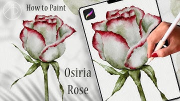 🌹Here’s how to paint botanical rose in procreate! Step by step for beginners #watercolor #art