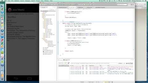 Java1 Week2 Reflection