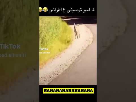 لما امي توصيني ع اغراض Ghaith Marwan غيث مروان سارة سارة عصام الورع ضحك Funny Fyp